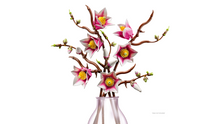 Load image into Gallery viewer, LEGO® Botanicals Magnolia Branches - 11510 - NEW!