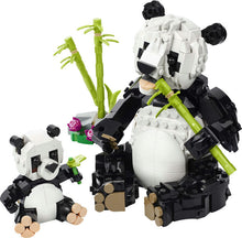 Load image into Gallery viewer, LEGO® Creator 3in1 Wild Animals Panda Family - 31165 - BEST SELLER