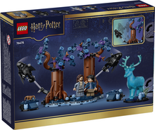 Load image into Gallery viewer, LEGO® Harry Potter™ Forbidden Forest - 76475 - NEW!