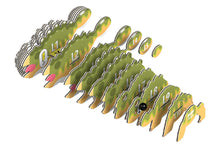 Load image into Gallery viewer, Ankylo