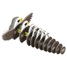 Load image into Gallery viewer, Bald Eagle