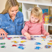 Load image into Gallery viewer, Colour Match Express - BEST SELLER