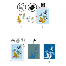 Load image into Gallery viewer, Djeco Cyanotype Paper - NEW!