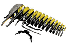 Load image into Gallery viewer, Hercules Beetle