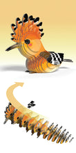 Load image into Gallery viewer, Hoopoe - BEST SELLER