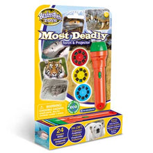 Load image into Gallery viewer, Torch and Projector - Most Deadly