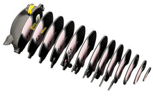 Load image into Gallery viewer, Available now - Pig - NEW!