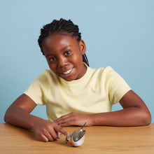 Load image into Gallery viewer, Available now - Robin - NEW!