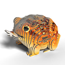 Load image into Gallery viewer, Desert Spadefoot Toad - BEST SELLER