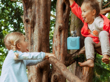 Load image into Gallery viewer, The Koala Who Could & Other Collections