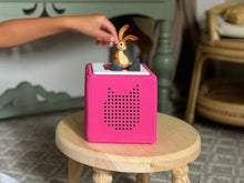 Load image into Gallery viewer, The Velveteen Rabbit