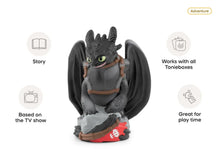Load image into Gallery viewer, How to Train Your Dragon - Toothless