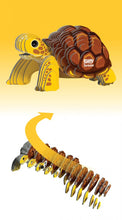 Load image into Gallery viewer, Tortoise - BEST SELLER