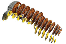 Load image into Gallery viewer, Tortoise - BEST SELLER