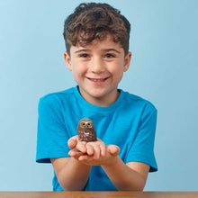 Load image into Gallery viewer, Owl - BEST SELLER