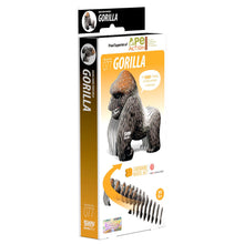 Load image into Gallery viewer, Gorilla - BEST SELLER