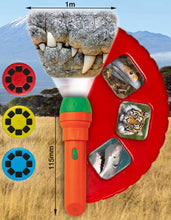 Load image into Gallery viewer, Torch and Projector - Most Deadly