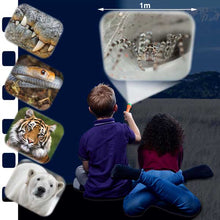 Load image into Gallery viewer, Torch and Projector - Most Deadly