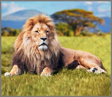 Load image into Gallery viewer, Torch and Projector - Most Deadly