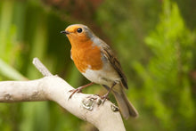 Load image into Gallery viewer, Outdoor Adventure Binoculars - BEST SELLER