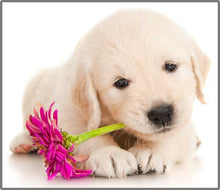 Load image into Gallery viewer, Torch and Projector - Puppy