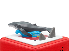 Load image into Gallery viewer, National Geographic Whale - BEST SELLER