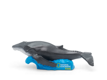 Load image into Gallery viewer, National Geographic Whale - BEST SELLER