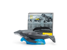 Load image into Gallery viewer, National Geographic Whale - BEST SELLER