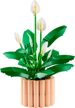 Load image into Gallery viewer, Available now - LEGO® Botanicals Peace Lilly - 11504 - NEW!
