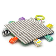 Load image into Gallery viewer, Taggies Harley Raccoon Crinkle Teether - BEST SELLER
