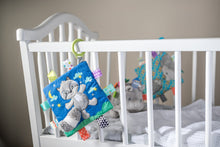 Load image into Gallery viewer, Taggies Harley Raccoon Crinkle Teether - BEST SELLER
