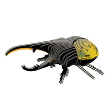 Load image into Gallery viewer, Coming soon - Hercules Beetle - NEW!
