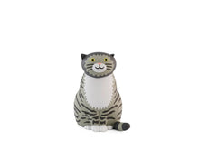 Load image into Gallery viewer, Mog the Forgetful Cat
