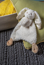 Load image into Gallery viewer, Oatmeal Bunny Lovey - NEW!
