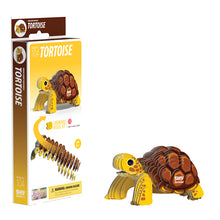 Load image into Gallery viewer, Tortoise - BEST SELLER
