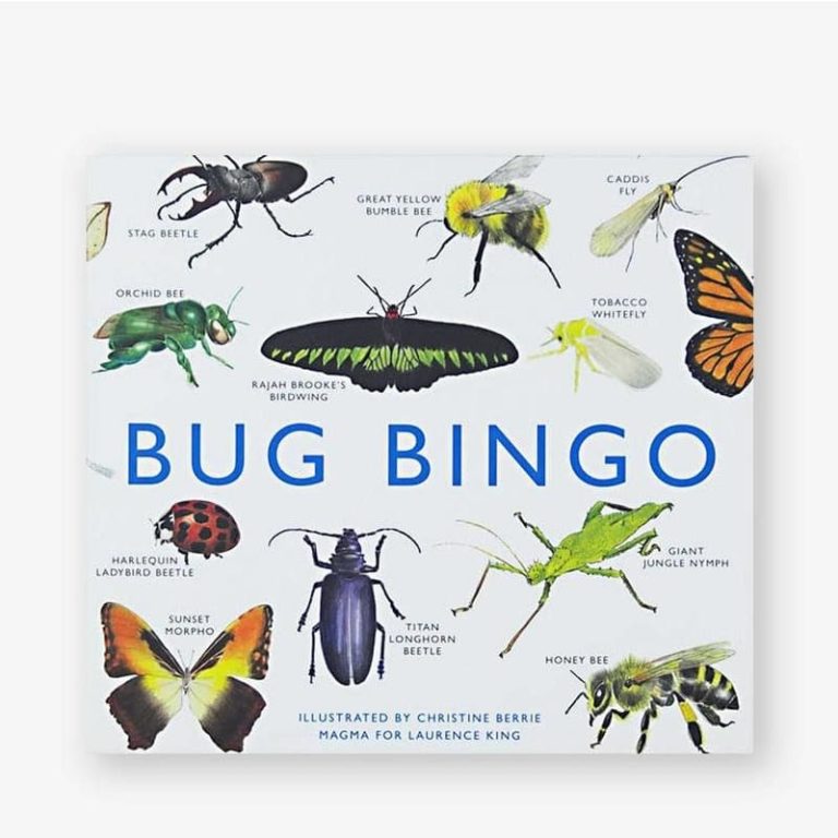Bug Bingo - BEST SELLER