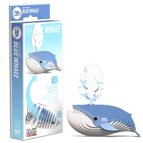 Blue Whale - BEST SELLER