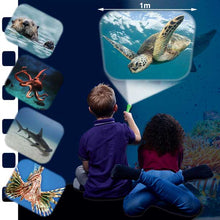 Load image into Gallery viewer, Torch and Projector - Natural History Museum Sea Creatures
